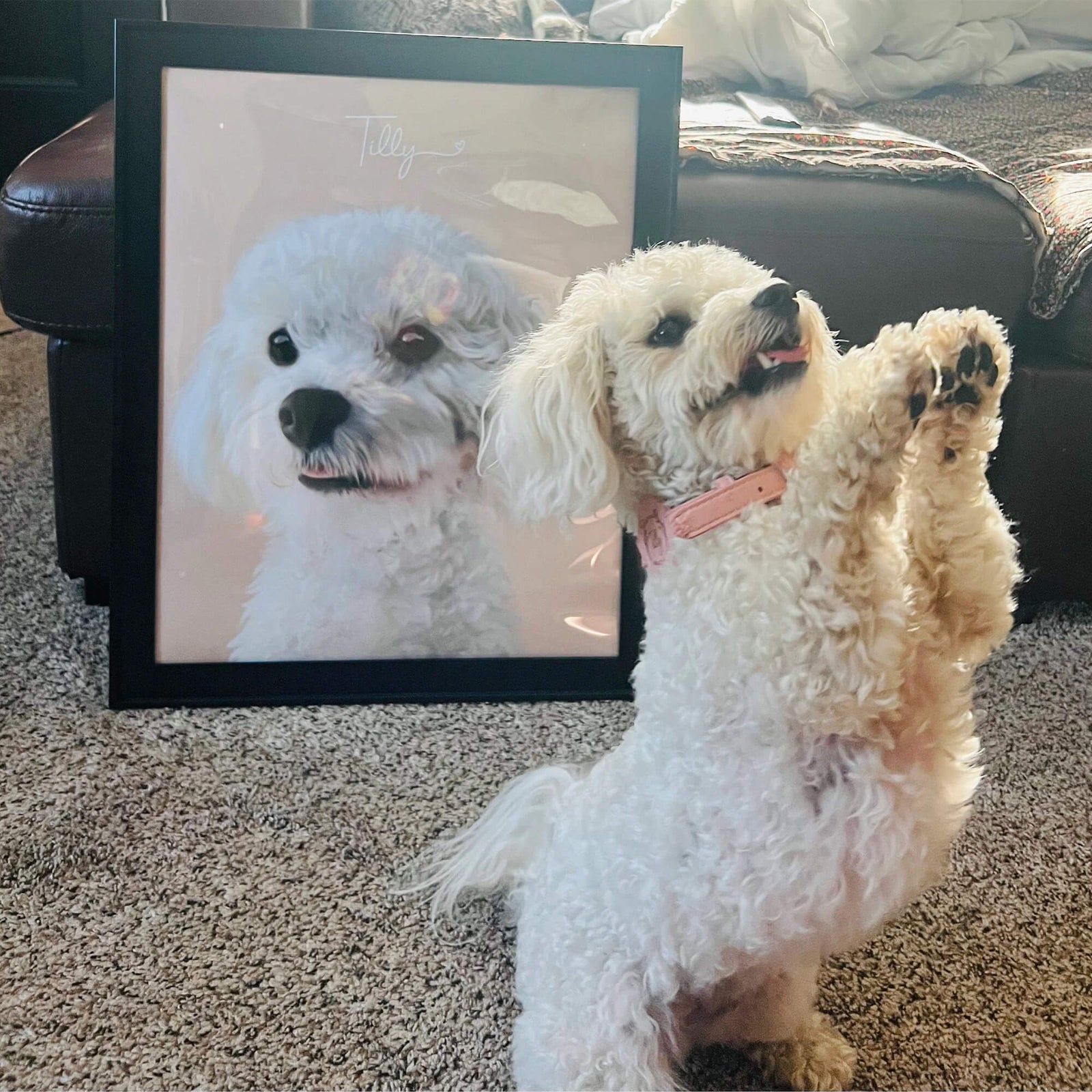 Custom Pet Portrait