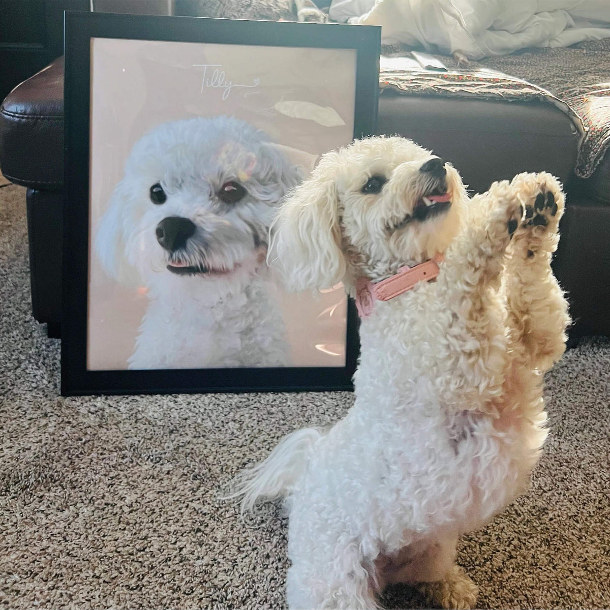 Custom Pet Portrait