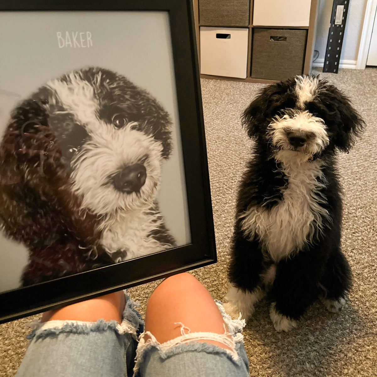 Custom Pet Portrait