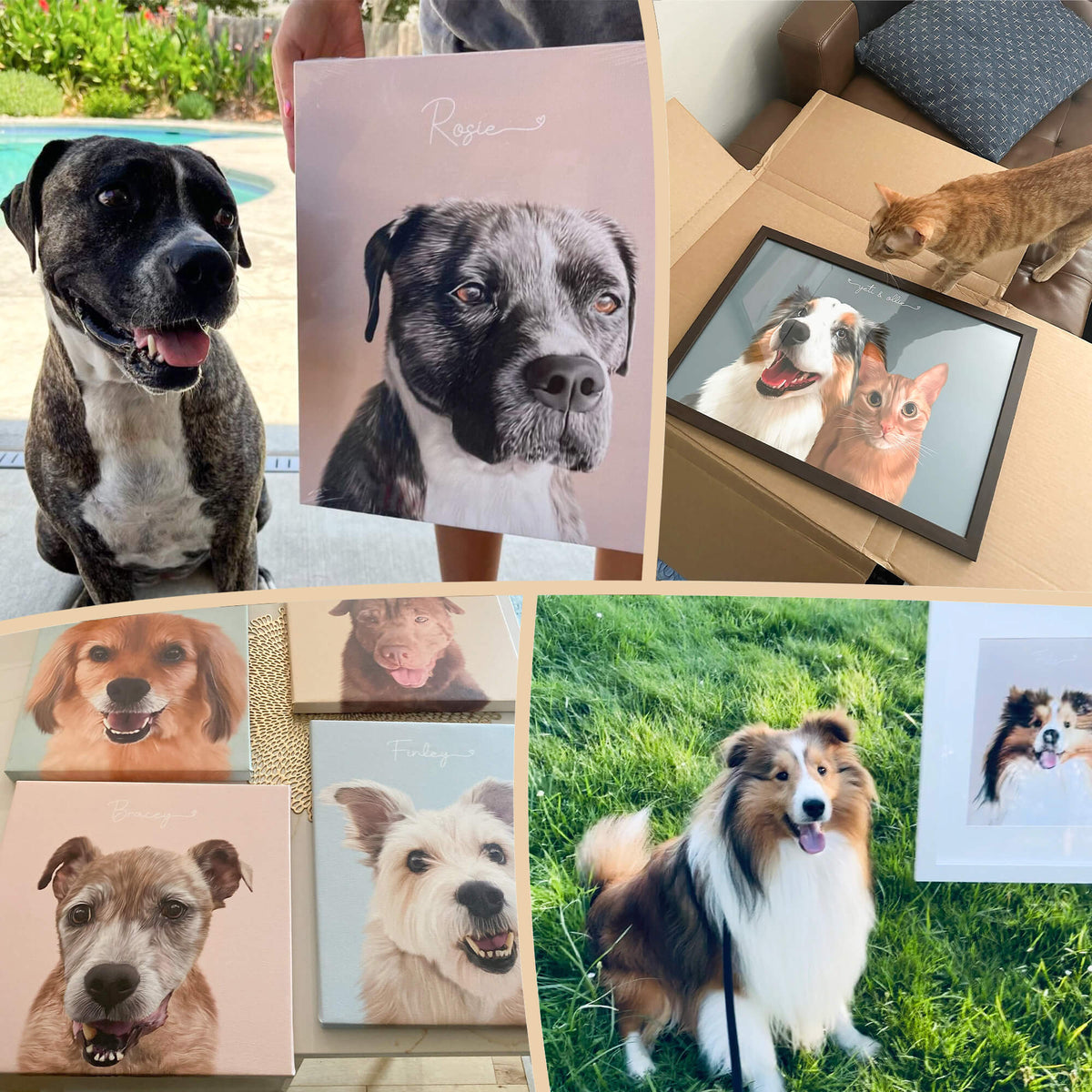 Custom Pet Portrait